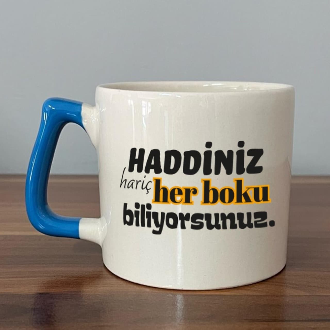 Haddiniz Hariç Her Boku Biliyorsunuz Baskılı Mavi Kulplu Prime Kupa