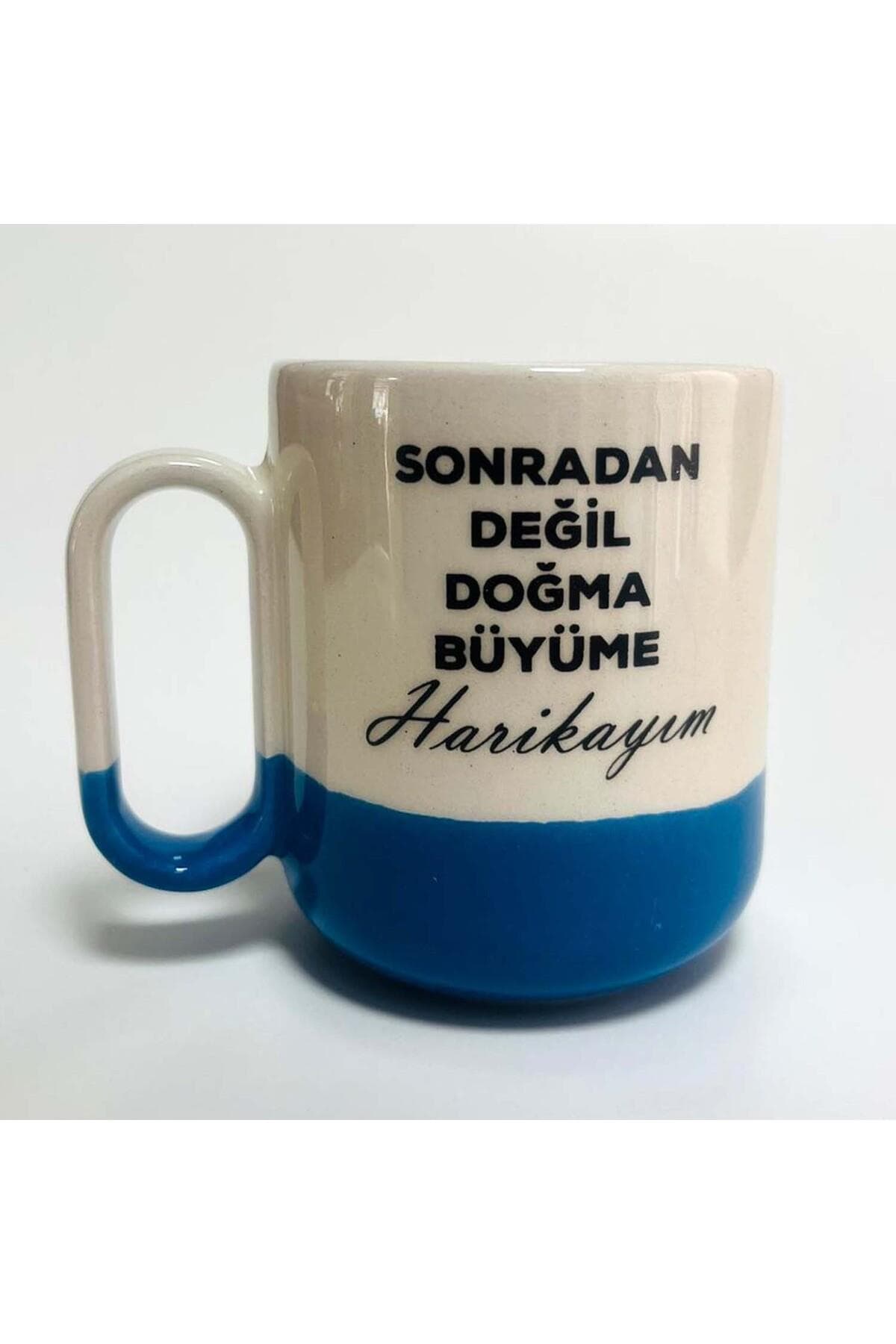 Doğma Büyüme Harikayım Baskılı Mavi Alt Yarısı Renkli Arya Kupa Bardak Fincan Mug
